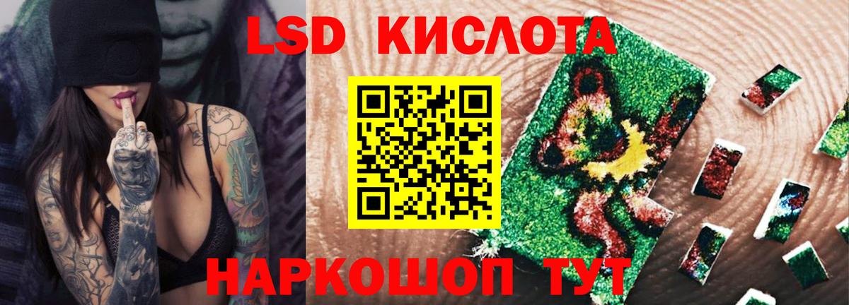 ЛСД экстази ecstasy  Вход с VPN  Бердск 